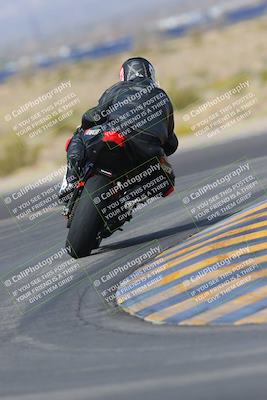 media/Mar-12-2023-SoCal Trackdays (Sun) [[d4c8249724]]/Turn 11 Backside (10am)/